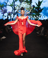 Load image into Gallery viewer, Evening Wear