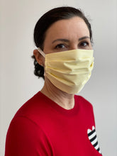 Load image into Gallery viewer, Donate 40 masks